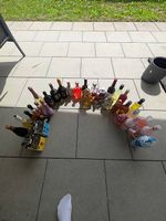 Verschiede Spirituosen Flaschen (34Flaschen)