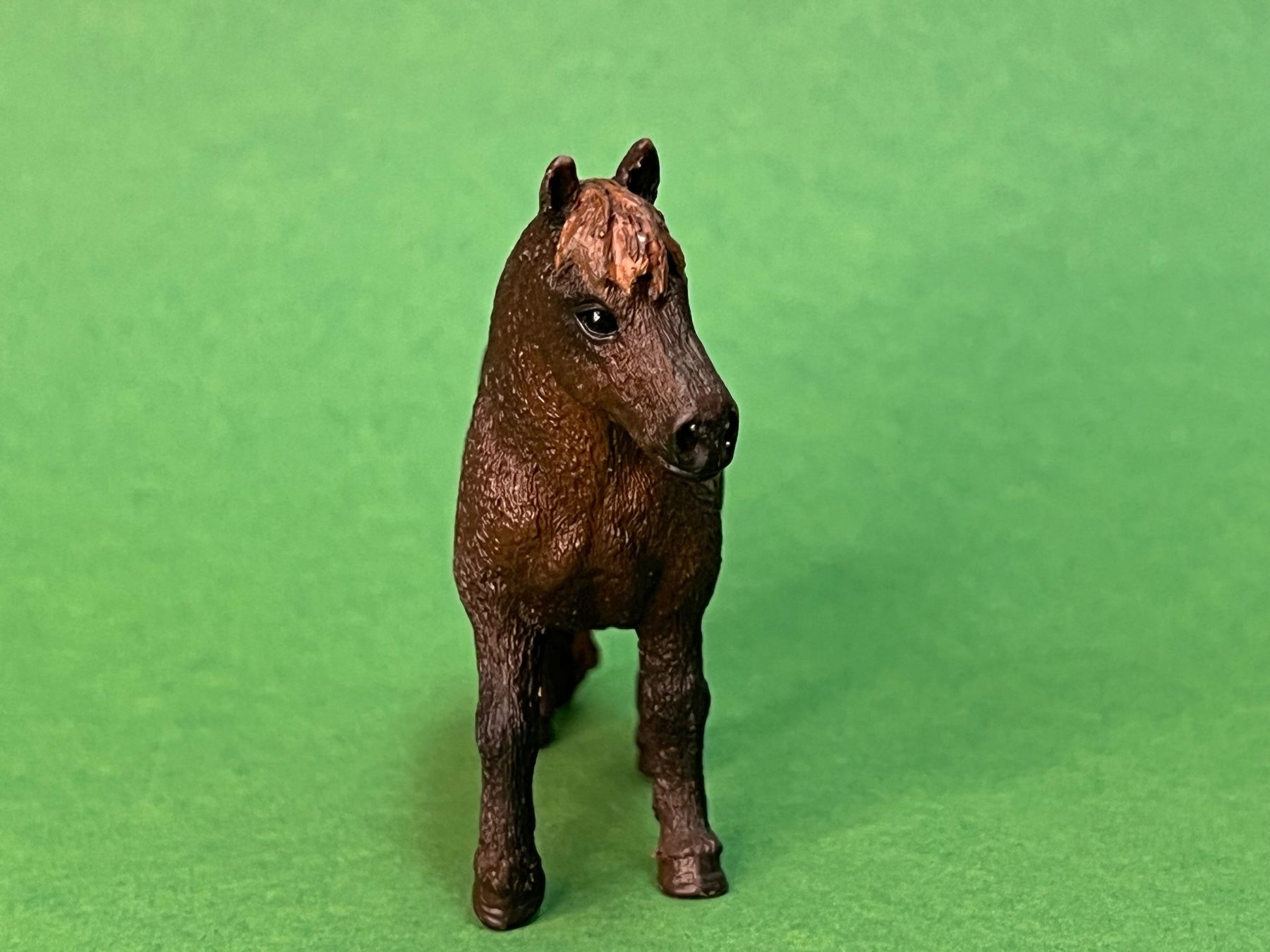 Schleich Statuette: Schleich Mini Shetty Horse Club – Usato da Ennetbaden venduto da mapa05 5