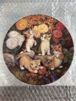 Zierteller "Lieblingsplatz am Rosenstrauch" Katze Kätzchen M