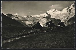 Saas-Fée, Maultierpost vor Allalinhorn,