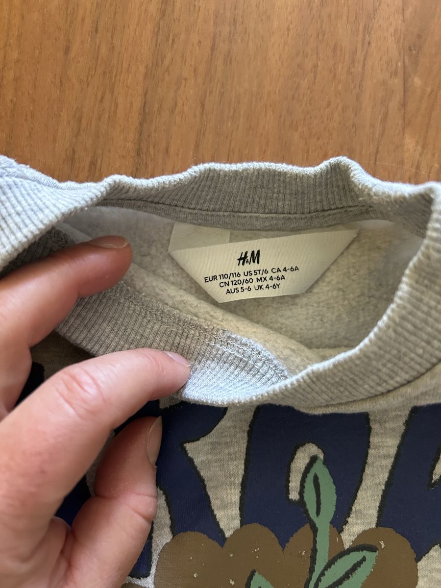 H&M Maglioni & Felpe: Jungs Lastwagen Pulli 110/116 – Usato da Steffisburg venduto da Kudiru 1