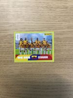 Panini FIFA WC ECU 13