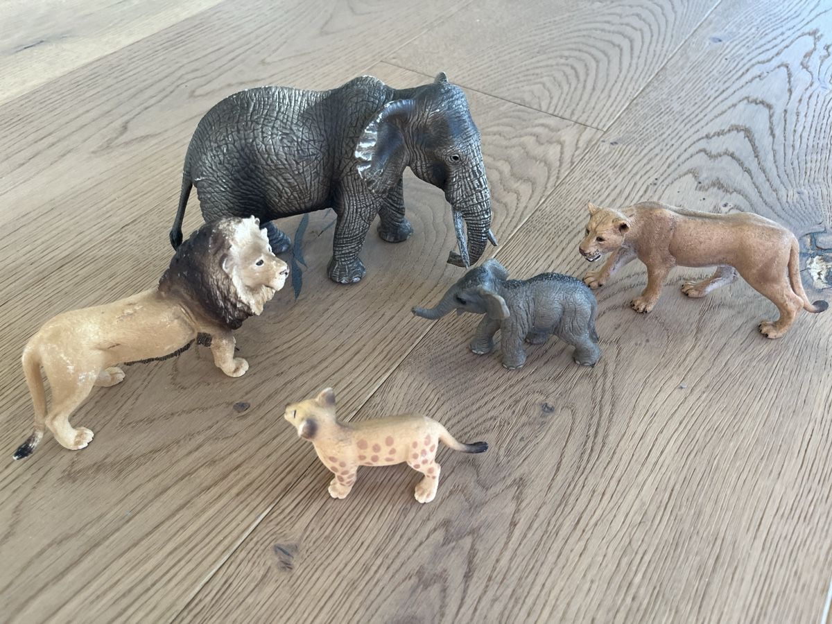 Schleich Giocattoli: Schleich Set Löwen- & Elefantenfamilie – Usato da Buttikon SZ venduto da nene2017 2