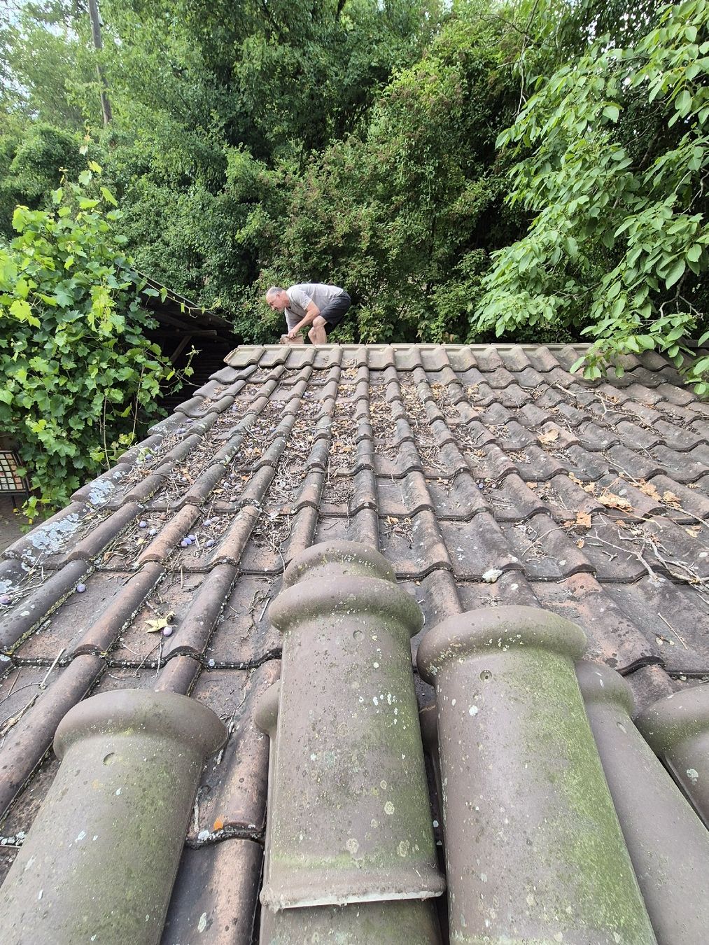 Sonstiges Baustoffe: Dachziegel 30m2 – Gebraucht aus Wasterkingen von mimi964 1
