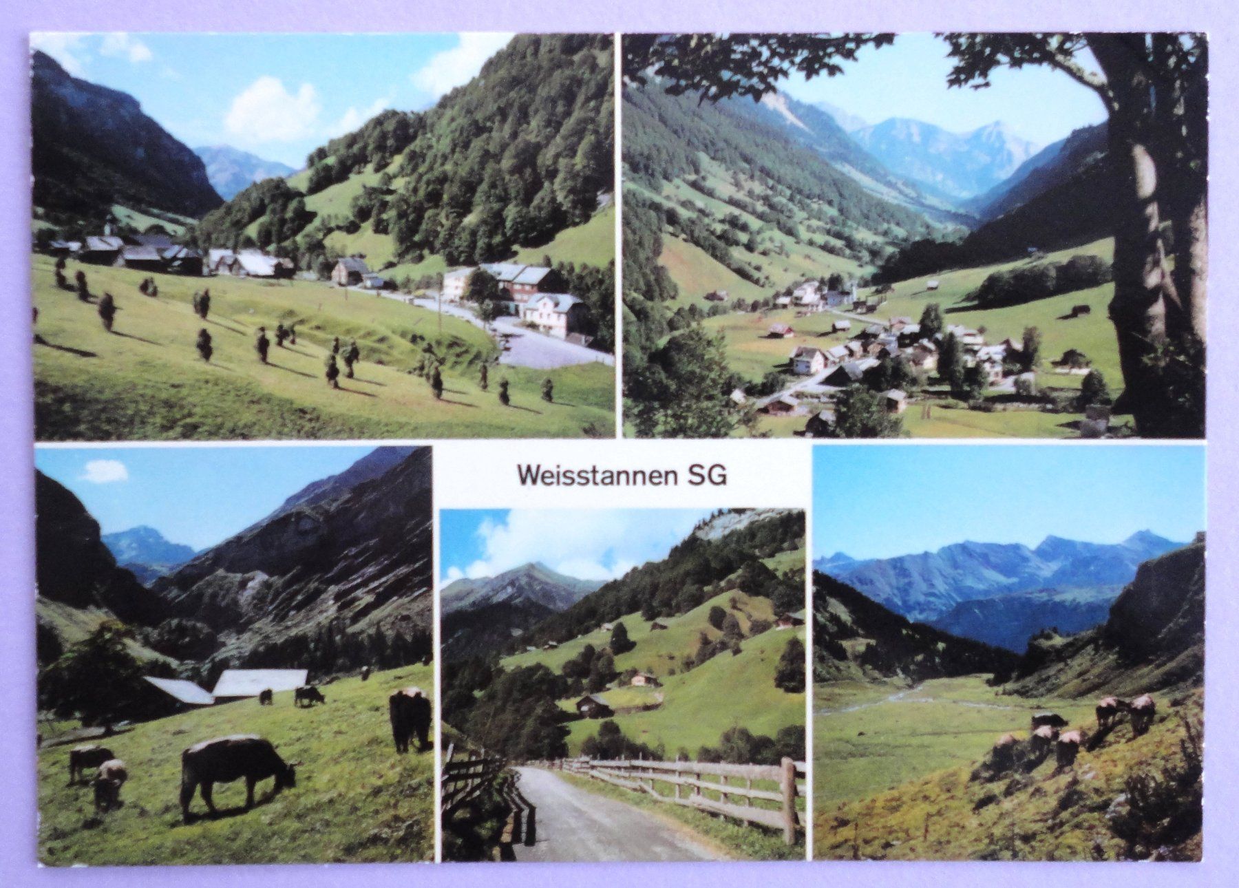 Cartoline postali: Weisstannen SG (1000 m) – Usato da Fétigny venduto da Billy2miny