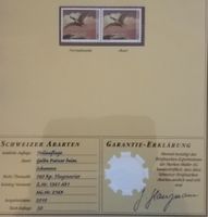 K54) 1361Ab1, Abart mehrere gelbe Putzer Befunde Müller