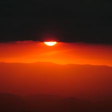 Profile image of til_hrn6