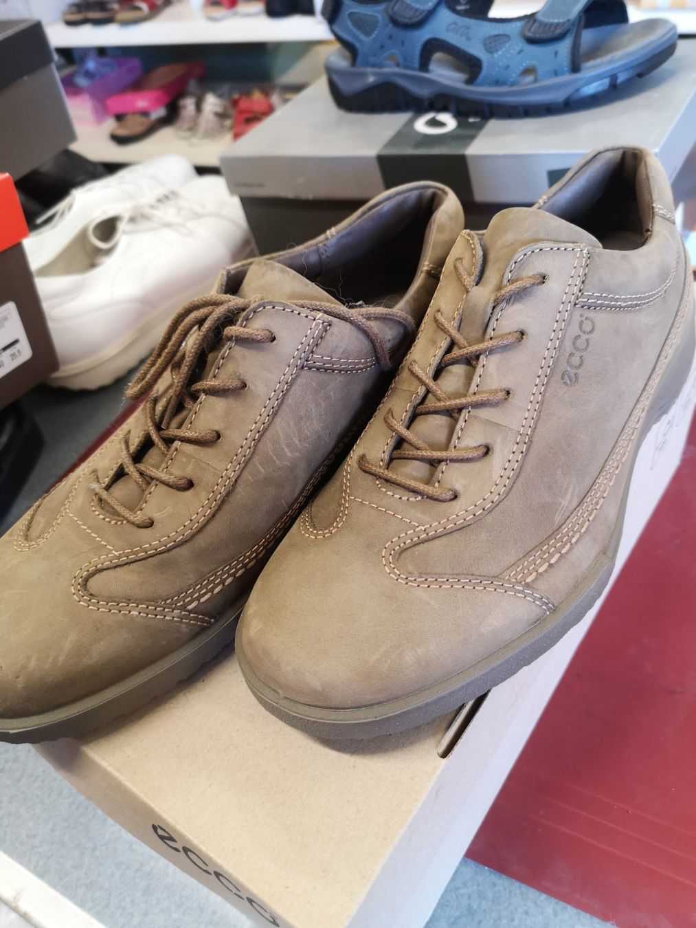 Ecco Chaussures hommes: Ecco – Neuf avec emballage d'origine à Möhlin par Highwaytom