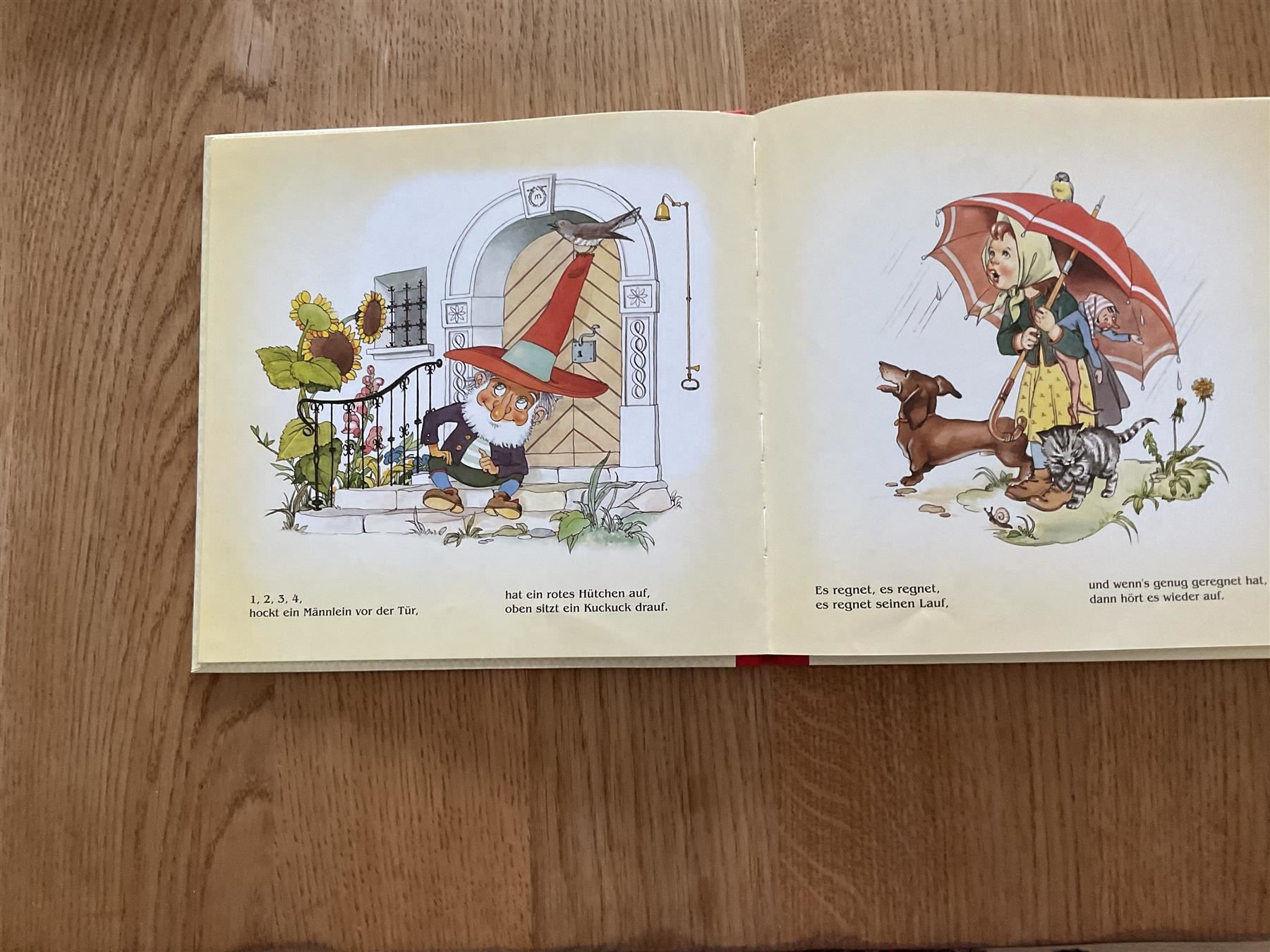 Libri: Ri Ra Rutsch Julius Breitschopf – Nuovo (secondo la descrizione) da Wetzikon ZH venduto da Libelle01 4