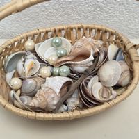 Muscheln, Perlen und Treibholz im Korb - Sommer Deko!