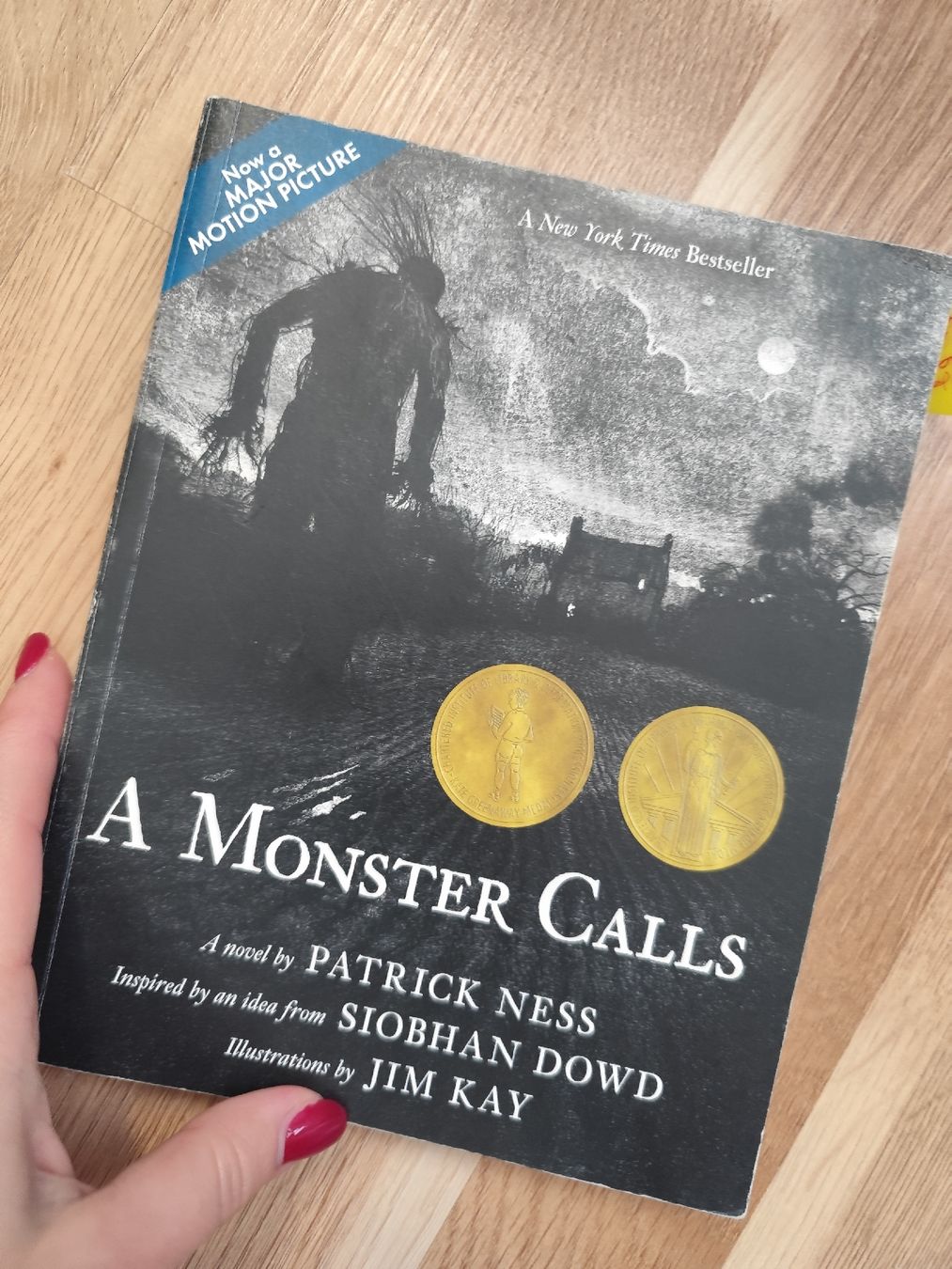 Libri: A Monster Calls by Patrick Ness – Usato da Mägenwil venduto da VintageGirly