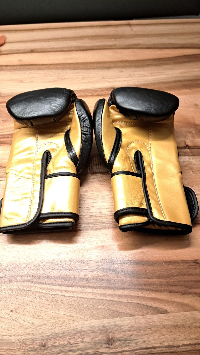 Guanti & manicotti: Kickboxhandschuhe KO Champ 10 Oz – Nuovo (secondo la descrizione) da Dozwil venduto da RianSchenk 2