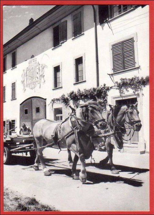 Cartoline postali: NEUNKIRCH, KLETTGAU, BAUERNHOF, PFERDEGESPANN, GROSSFORMAT – Usato da Grüningen venduto da Kartenlaube