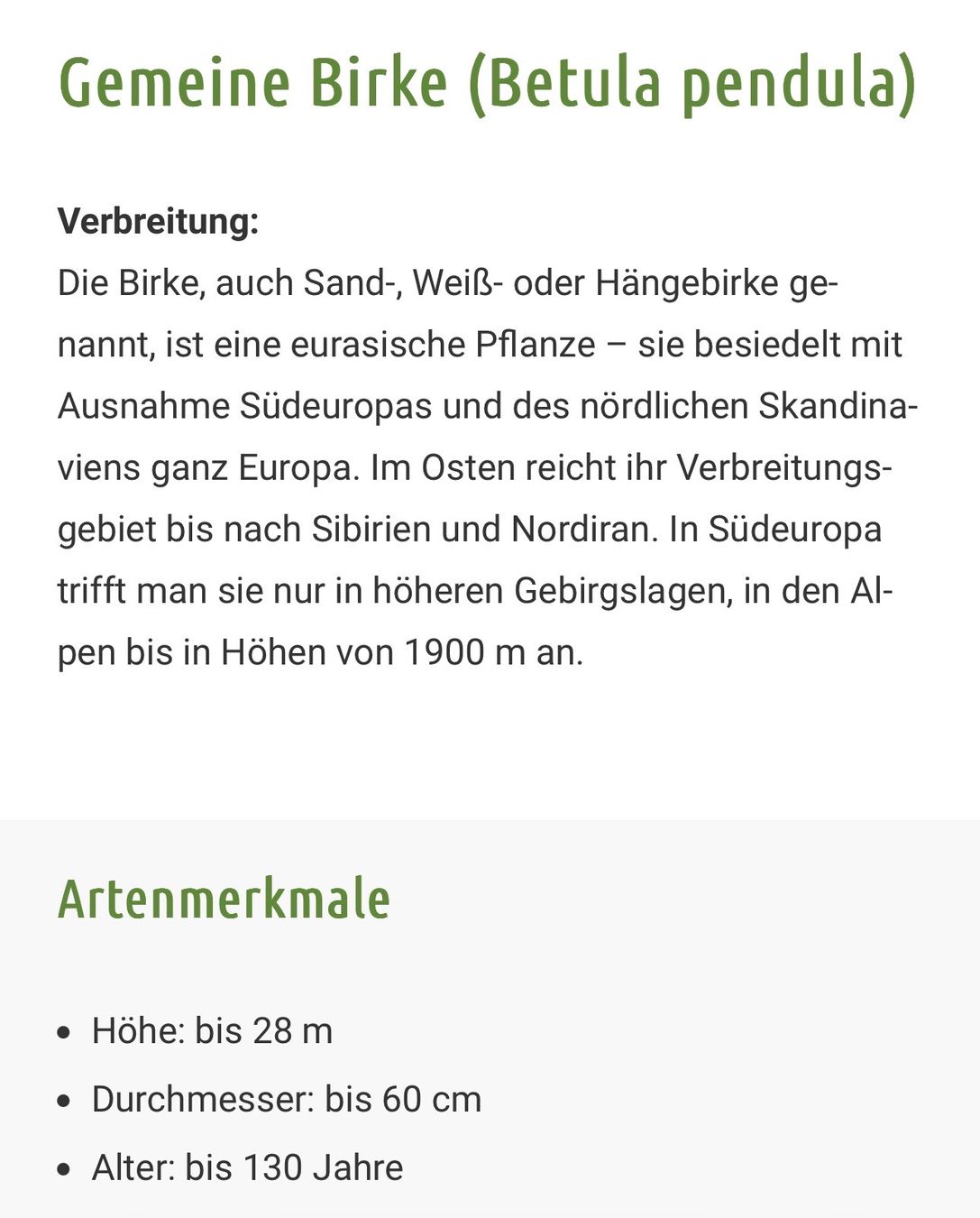 Pflanzen & Samen: Birke – Gebraucht aus Rünenberg von Airpig55 2