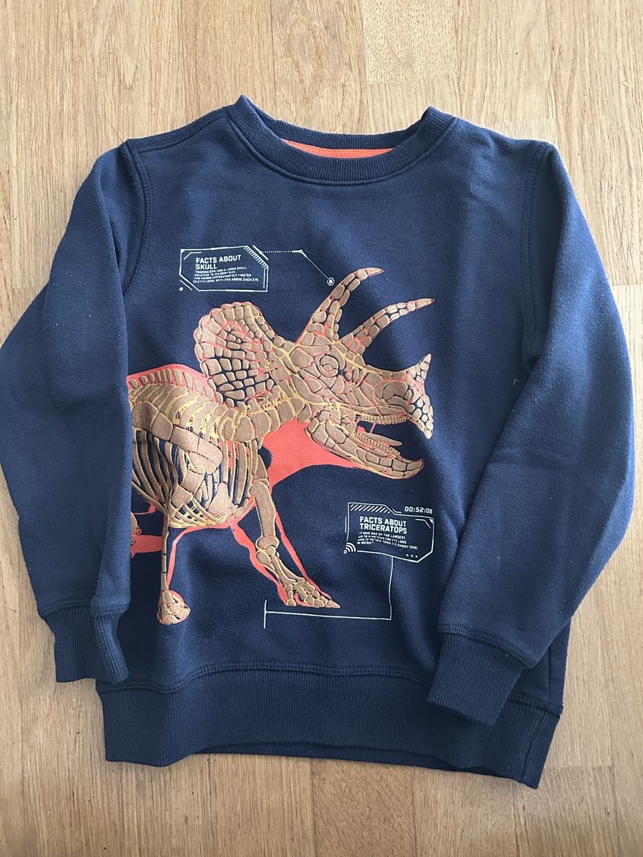 Pullover & Sweatshirts: Pullover 122/128 – Gebraucht aus Frauenfeld von manuburg
