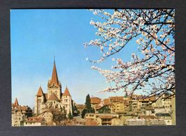 AK Lausanne La cathedrale au printemps