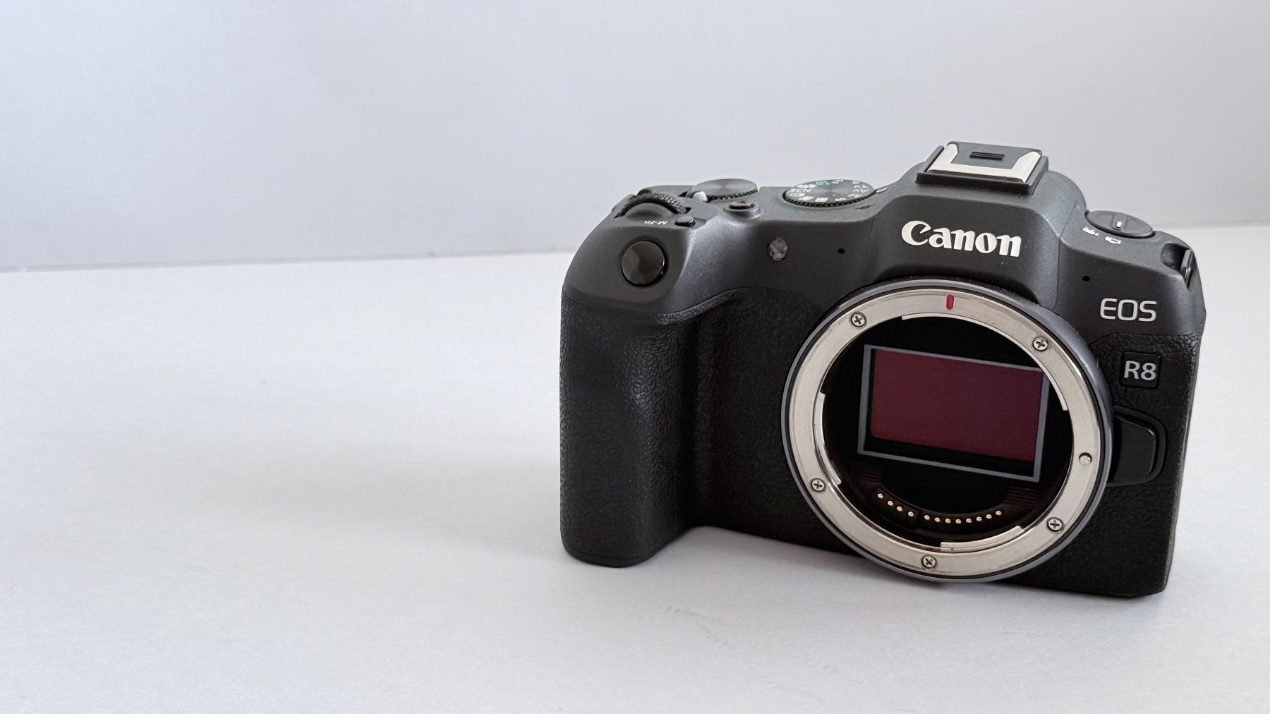 Canon Kamera: CANON EOS R8 & RF 24-105mm 4-7.1 IS STM – Gebraucht aus Sisseln AG von BigOllie 3