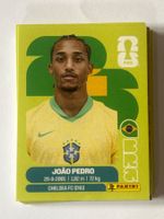 Panini WM 2026 Sticker - Joao Pedro BRA 16
