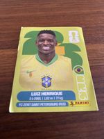 Panini BRA 12