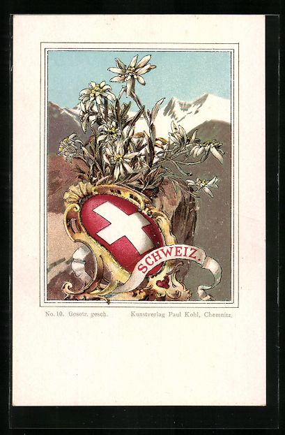 Cartoline postali: Litho Schweizer Wappen mit Edelweiss – Usato da Berlin venduto da bartko-reher