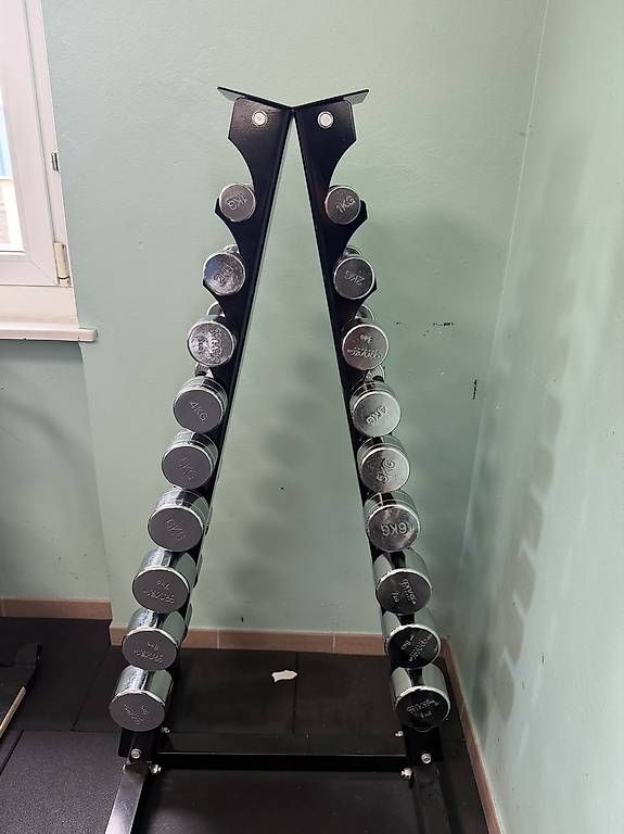 Altri accessori: Rack + poids  – Usato da Lausanne venduto da you_2y7g