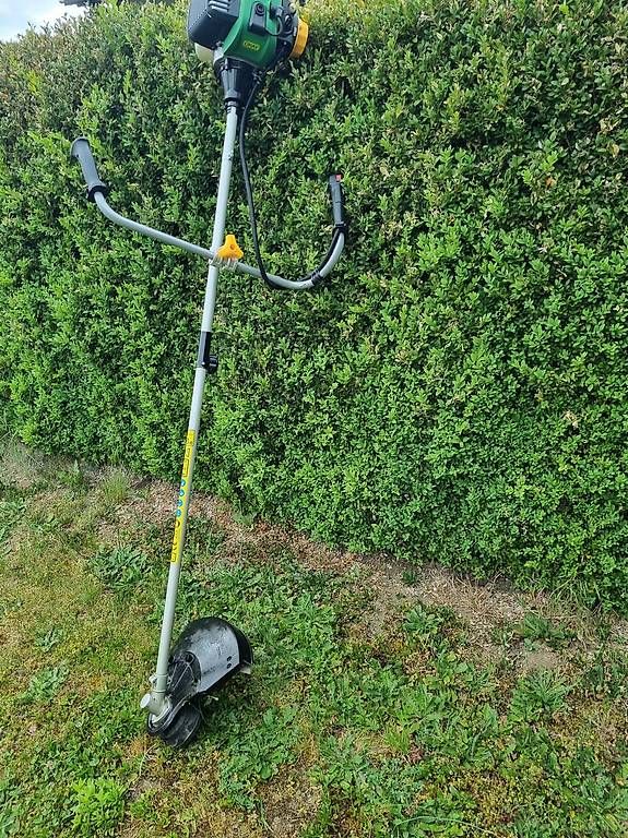 Tutte le macchine: Debroussailleuse – Usato da Morlon venduto da VGei