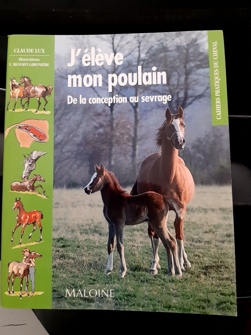 Libri: 2 livres sur les animaux – Usato da Le locle venduto da juliensaran