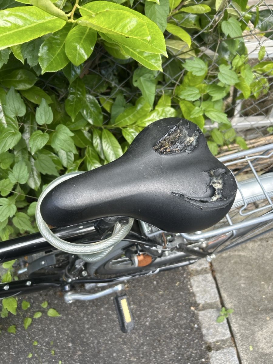 Biciclette: Men bike Bottecchia, used condition. – Usato da Arlesheim venduto da gio_sg79 1