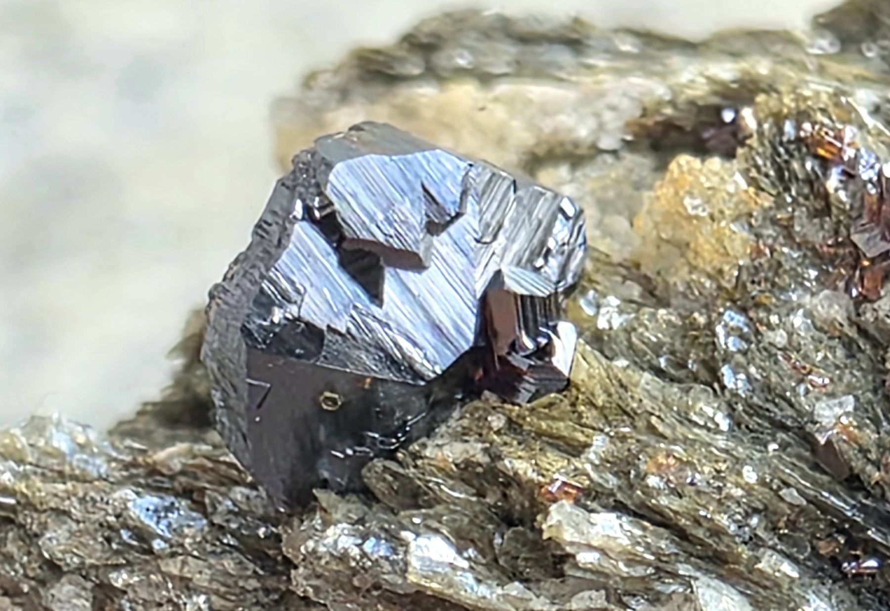 Minéraux & Lithothérapie: Magnetit, Cervandonit mit Magnetit Rutil 3 Stufen – D'occasion à Glis par nbu_65ys 4
