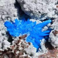 Pentagonite bleu électrique sur matrice – 7 cm, 155 g