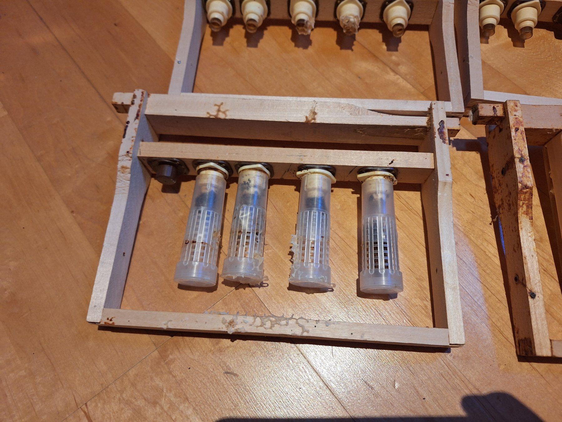 Bienenhäuser: Nicot Zuchtkassette + Miniplus Zuchtrahmen – Gebraucht aus Ipsach von nik_6hkj 3