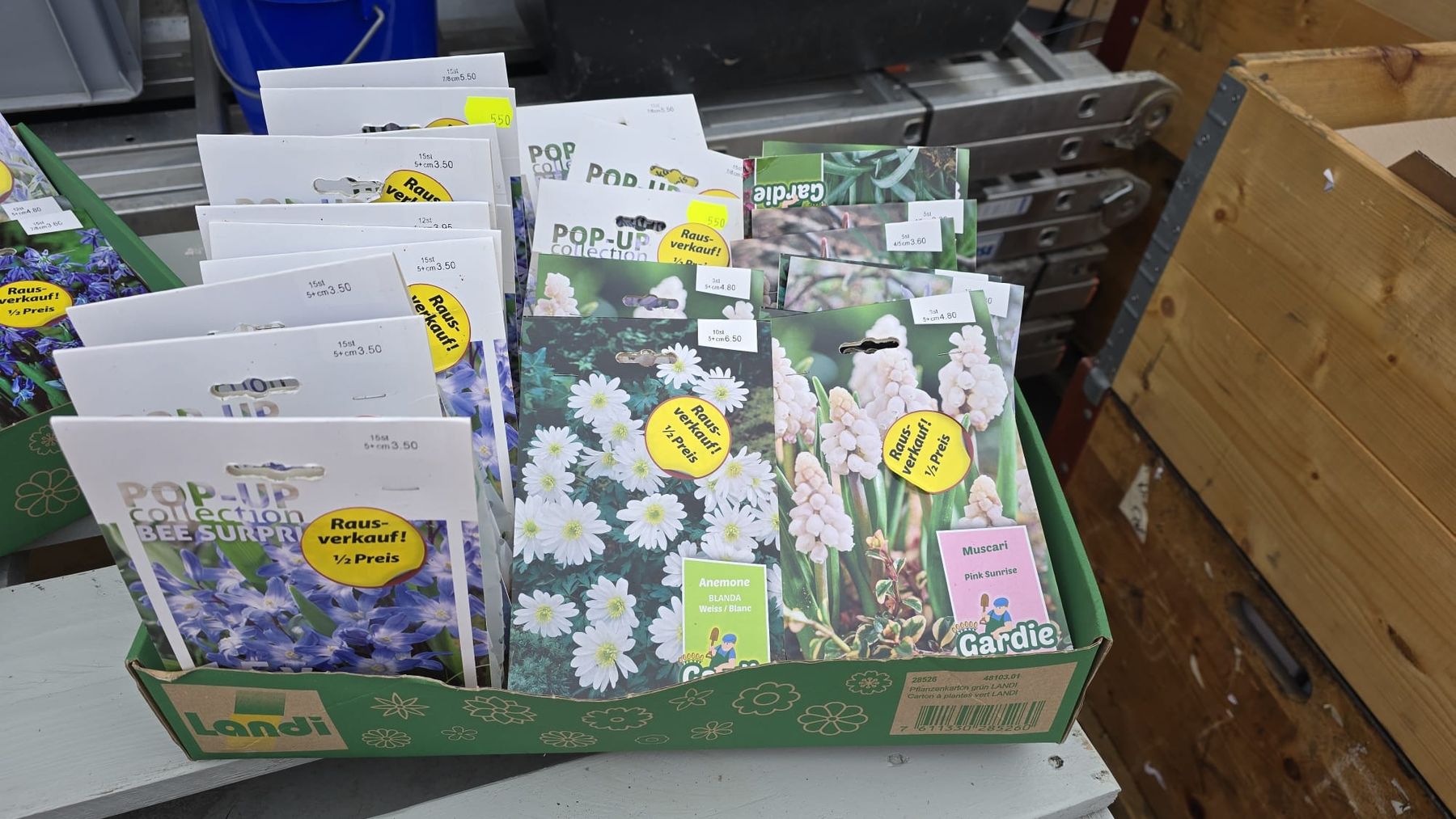Piante & sementi: Restposten 100 Pack Setzzwiebeln Div. – Nuovo e nell'imballaggio originale da Dussnang venduto da kevin0812 3