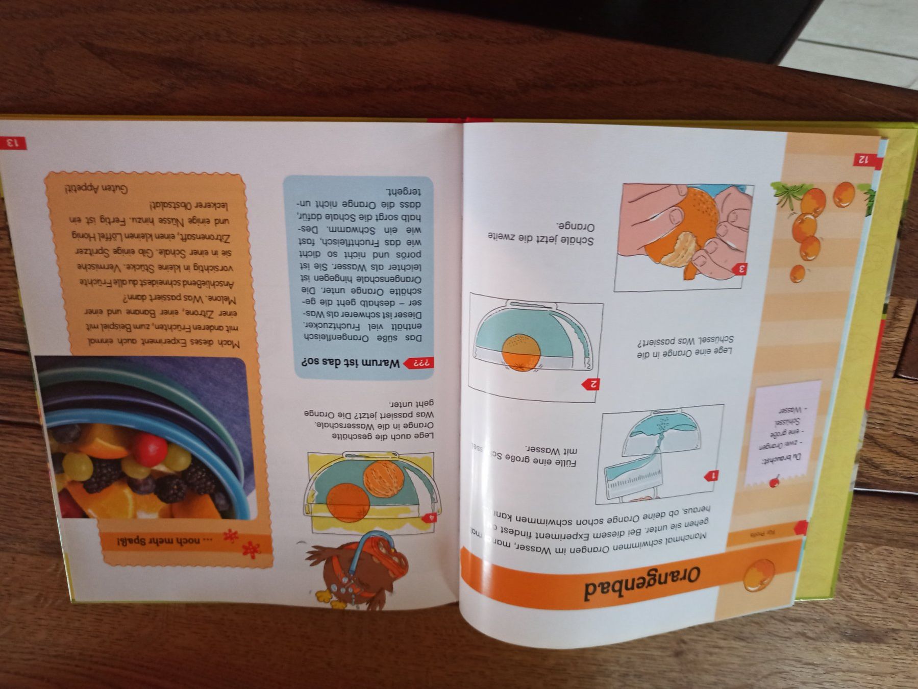 Bücher: Buch Experimente rund um die Natur – Gebraucht aus Niederwil AG von Nioc28 2