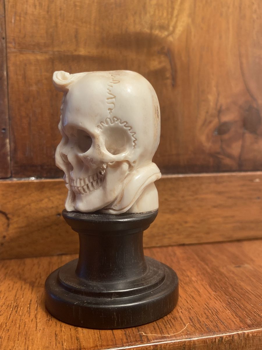 Sculture & Statue: Memento Mori Hirschhorn geschnitzt  – Usato da Berikon venduto da Samurai67ch 3