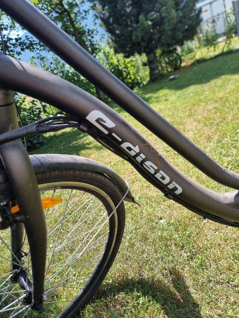Velos: E-Bike City Bike E-dison  – Defekt aus Maienfeld von Hejworth 4