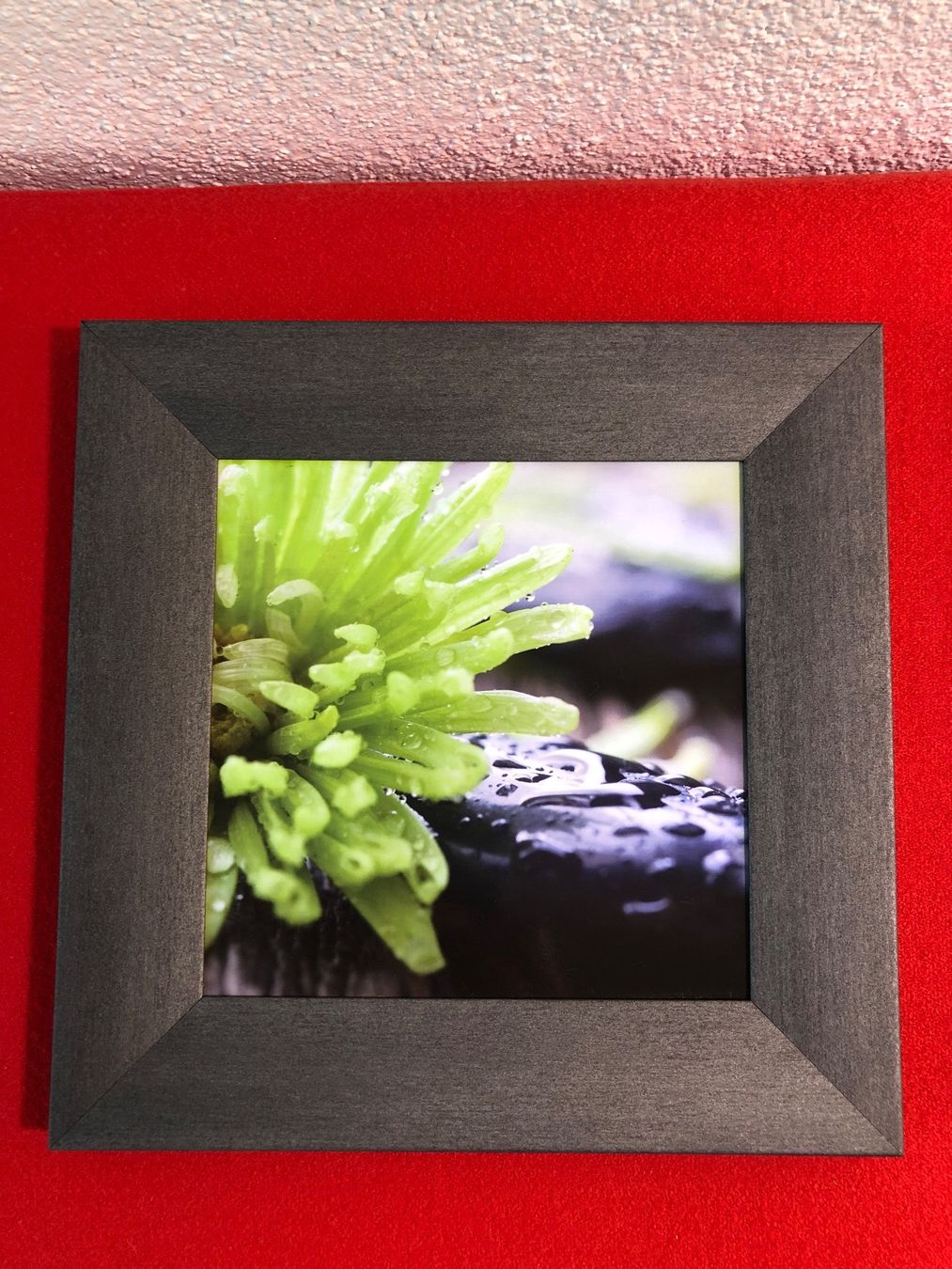 Tutte le decorazioni: 3-er Bilderset 23x 23 cm – Usato da Nassen venduto da run_7jjy 1