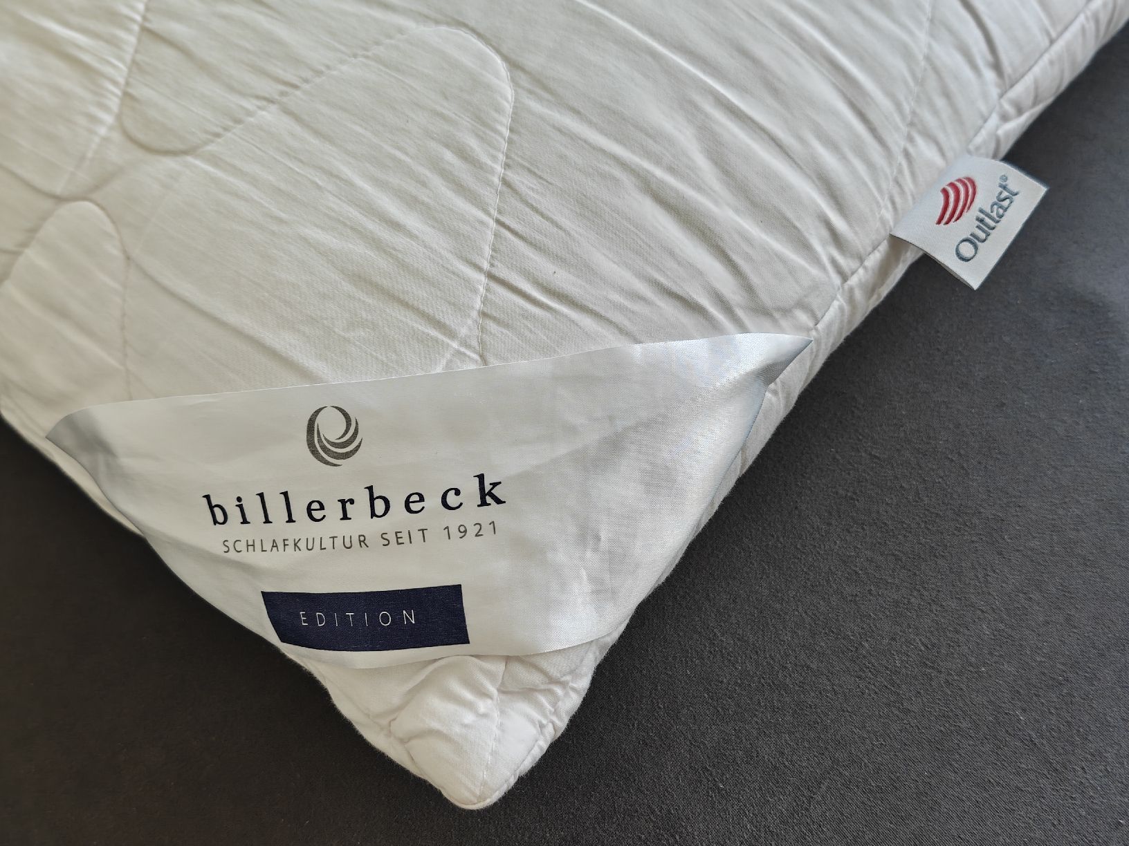 Cuscini: Billerbeck 50x70 pillow – Usato da Zürich venduto da seconda_chance 3