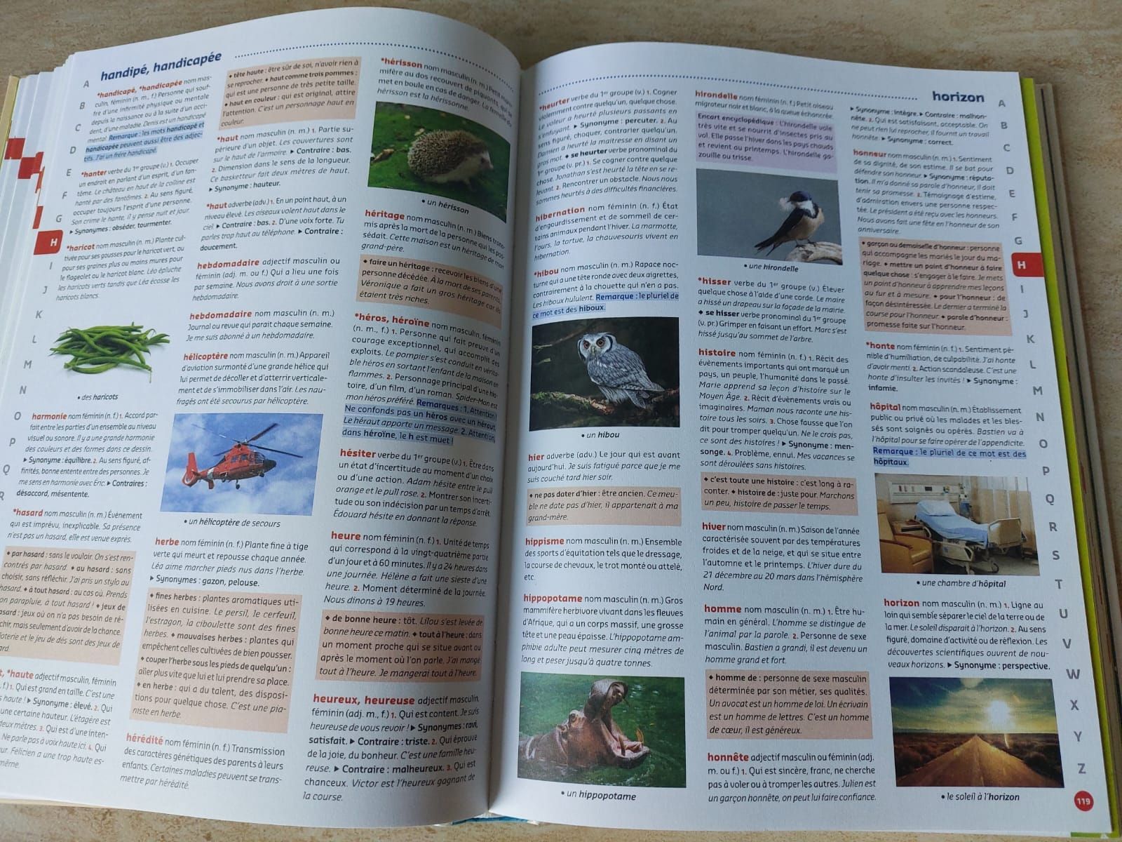 Libri: Dictionnaire Français Junior - Auzou  – Nuovo (secondo la descrizione) da Mont-sur-Lausanne venduto da ane_pgq6 2