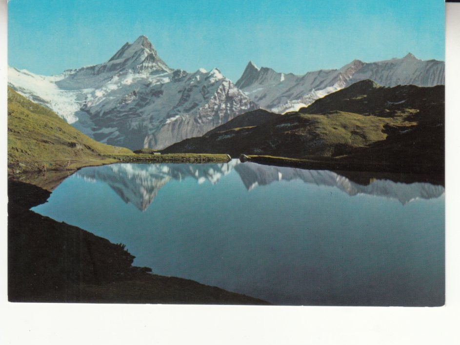 Cartoline postali: Bachalpsee ca. 1970 – Usato da Bürglen TG venduto da StampGraf