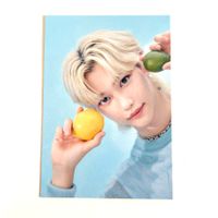 stray kids felix season's greetings postcard