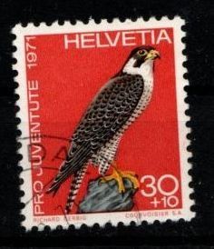 Alle Briefmarken: 1971 - PJ / Einh. Vögel / Wanderfalke – Gebraucht aus Schaffhausen von poststamp
