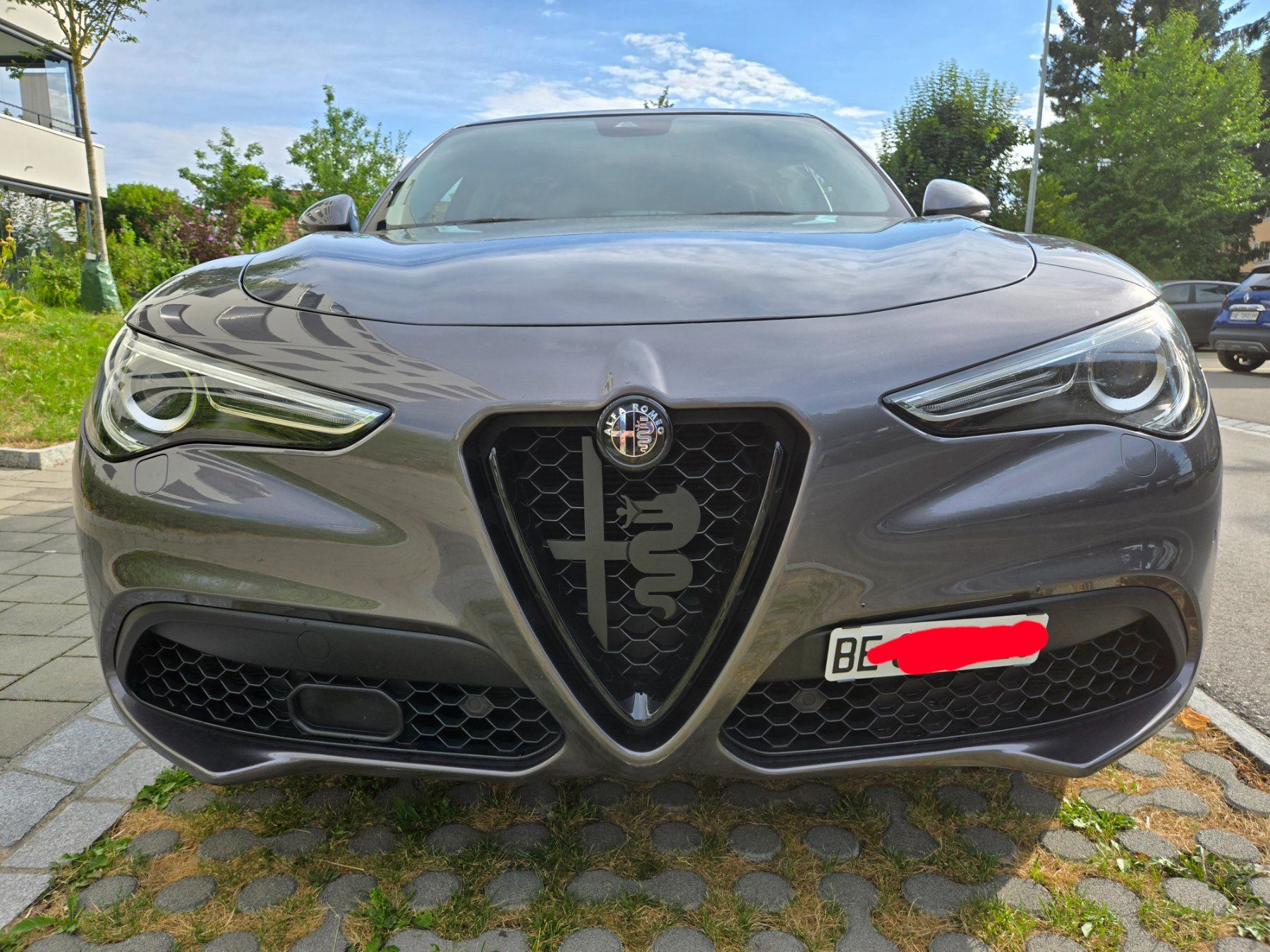 Alfa Romeo Tutti pezzi di ricambio auto: Alfa Romeo Stelvio & Giulia Grill accessory, Matte Schwarz – Nuovo (secondo la descrizione) da Lyss venduto da nesholo1986 3