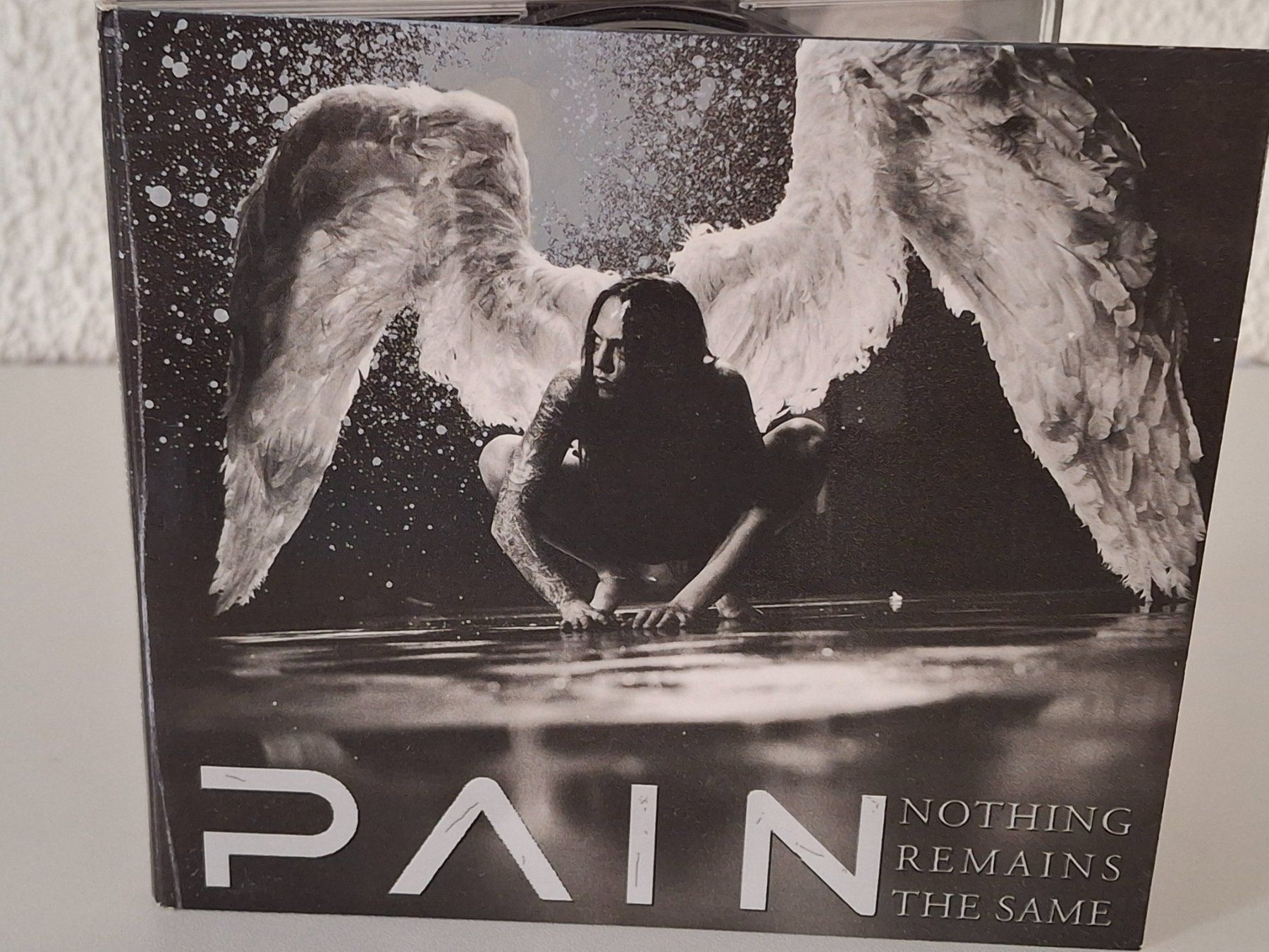 CD: CD Pain - Nothing Remains the Same /  Heavy Metal – Usato da Aarberg venduto da Jackup1