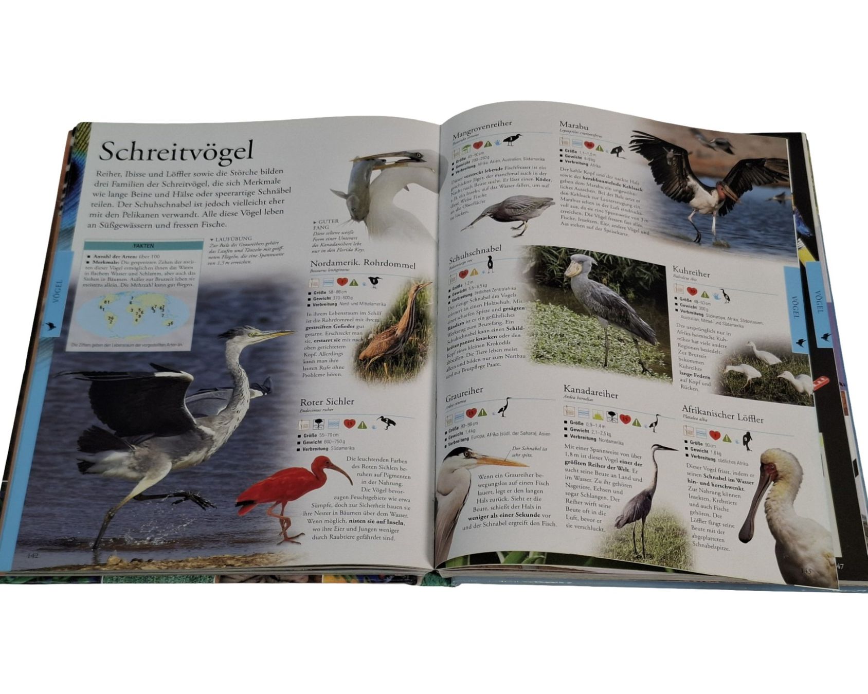 Bücher: DK Lexikon der Tiere – Gebraucht aus Wil SG von Restwert_Wil 3