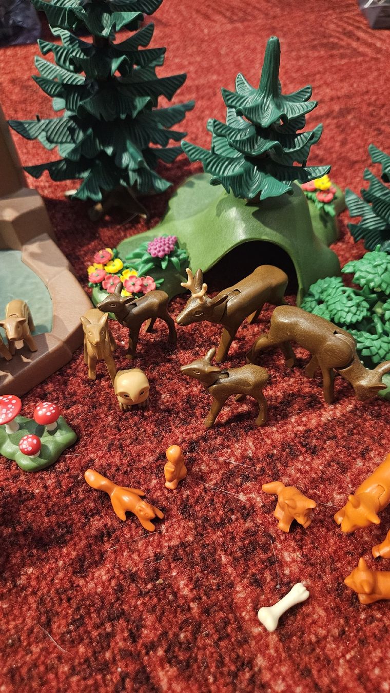 Playmobil Giocattoli: Playmobil Wald mit vielen Waldtieren – Usato da Rudolfstetten venduto da Hoppel17 3