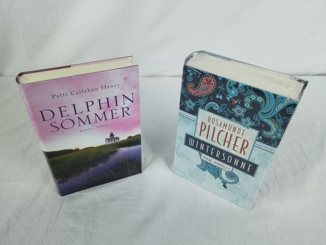 Livres: Romane "Delphinsommer" und "Wintersonne" – Neuf (Voir description) à Schübelbach par Restwert_Schubelbach