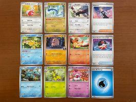 Pokemon 12er Karten Set (Versand gratis)