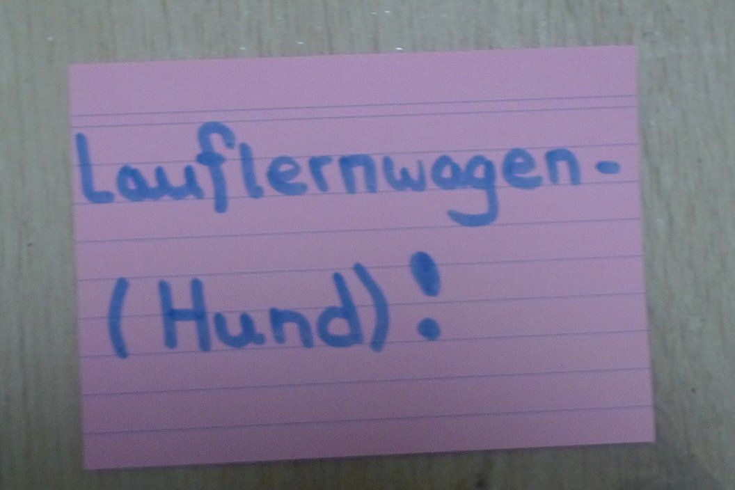 Fahrzeuge für Kinder: Lauflernwagen-(Hund)! – Gebraucht aus Bern von bn1640 5