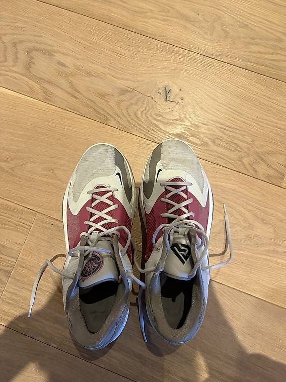 Herrenschuhe: Chaussure basket Nike Giannis - taille 47.5 – Gebraucht aus Geneve von tom_d7f8 2