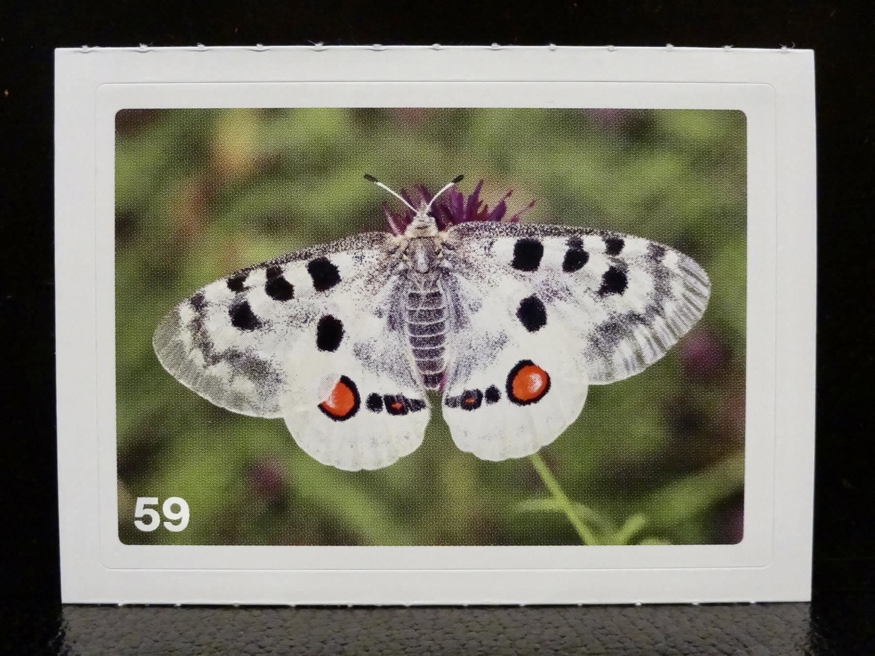 Migros Carte collezionabili: MIGROS MANIA Nature Detectives Nr. 59 – Usato da Kerzers venduto da zimmergruen